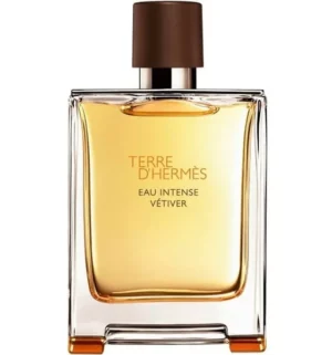 Hermes - Terre D`Hermes EDT 100 ml